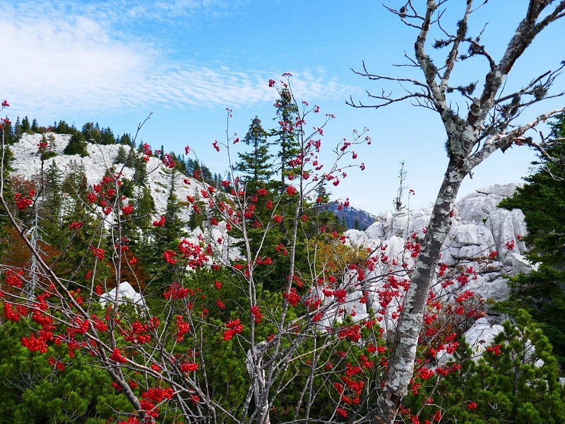 COMMENT J’AI DECOUVERT LE PARC NATIONAL VELEBIT